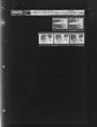 Pitt Technical Institute Receives Check from A.B. Whitley, Inc. (5 Negatives), December 26 - 29, 1964 [Sleeve 92, Folder d, Box 34]